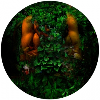 Serie Chromatique –Nature –Terras -la nuit– 16